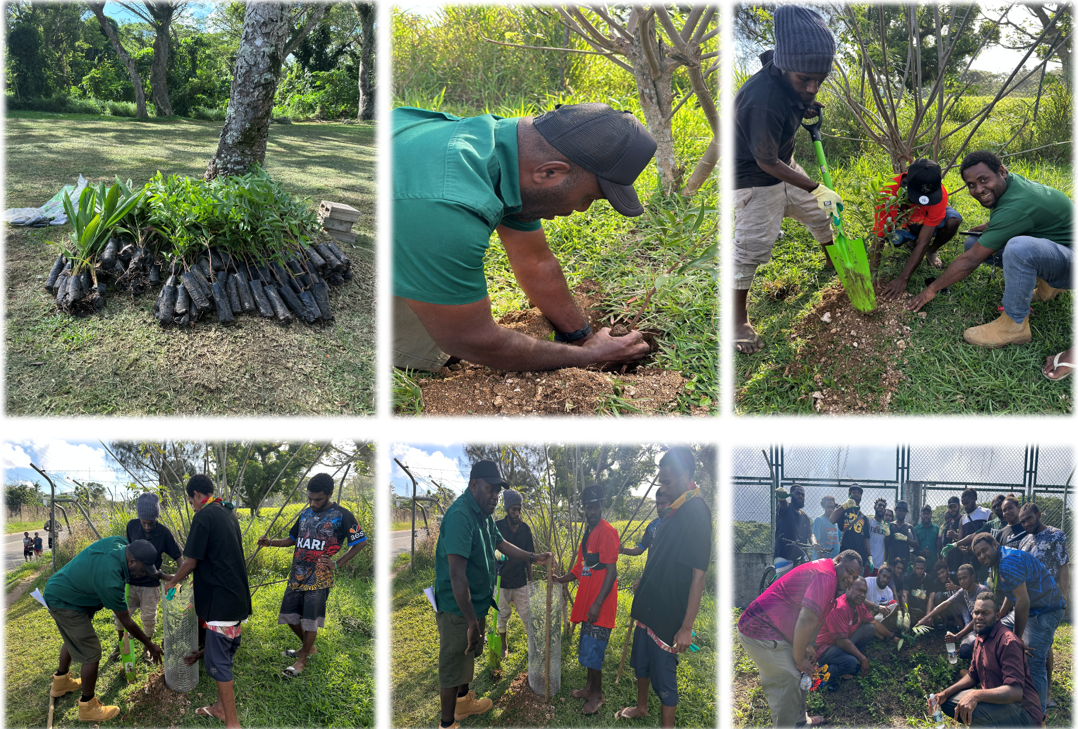Re-planting of Tree's at Korman Park Re-planting of Tree's at Korman Park